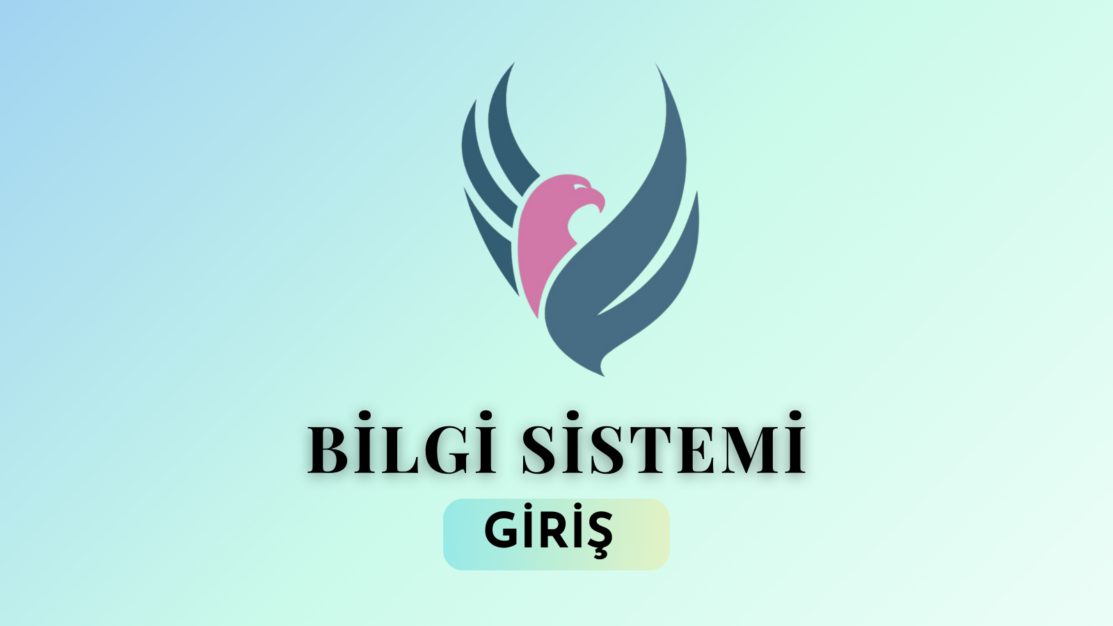 Şahin Bilgi Sistemi
